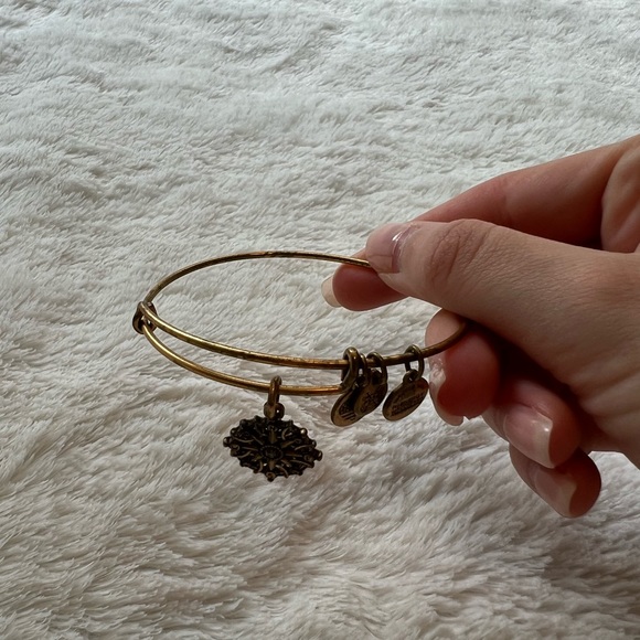 Alex and Ani Rose Gold Compass Bracelet - Picture 4 of 5